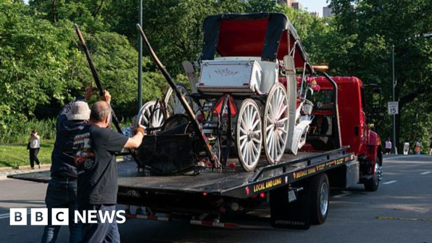 wp-header-logo-800.png Teenager dies in horse-drawn carriage accident in New York – BBC